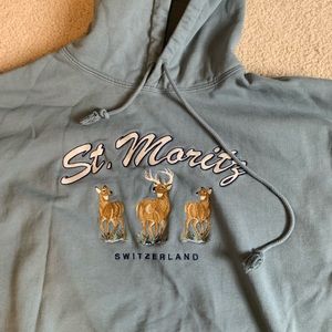 NWOT Brandy Melville hoodie